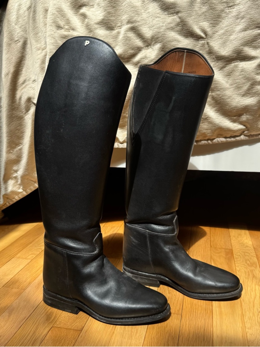 Petrie Dressage Tall Boot